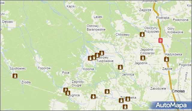 mapa Ostrowy Tuszowskie, Ostrowy Tuszowskie na mapie Targeo