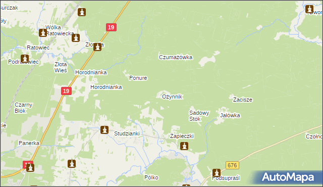 mapa Ożynnik, Ożynnik na mapie Targeo