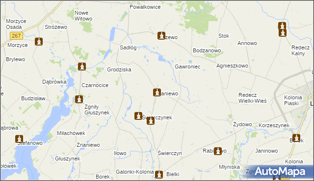 mapa Paniewo gmina Topólka, Paniewo gmina Topólka na mapie Targeo