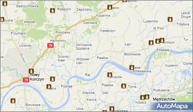 mapa Pawłów gmina Nowy Korczyn, Pawłów gmina Nowy Korczyn na mapie Targeo