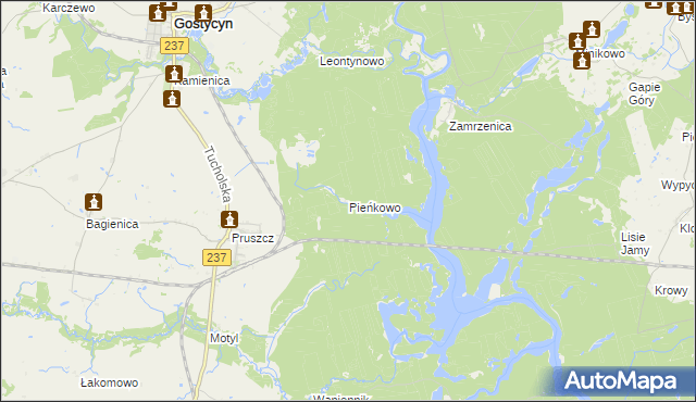 mapa Pieńkowo gmina Gostycyn, Pieńkowo gmina Gostycyn na mapie Targeo