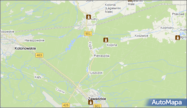 mapa Pietraszów, Pietraszów na mapie Targeo