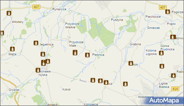 mapa Pleśnica, Pleśnica na mapie Targeo