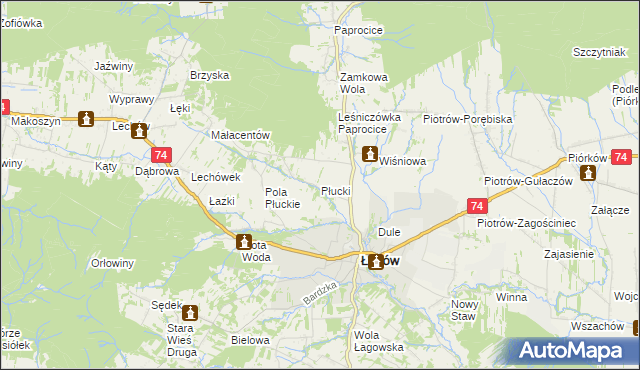 mapa Płucki, Płucki na mapie Targeo