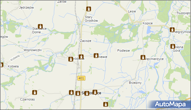 mapa Pniewie gmina Skoroszyce, Pniewie gmina Skoroszyce na mapie Targeo