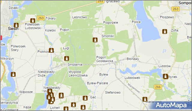 mapa Pogoń Gosławicka, Pogoń Gosławicka na mapie Targeo