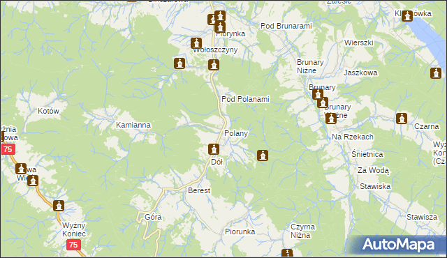 mapa Polany gmina Krynica-Zdrój, Polany gmina Krynica-Zdrój na mapie Targeo