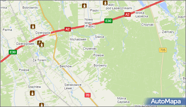 mapa Polesie gmina Nieborów, Polesie gmina Nieborów na mapie Targeo