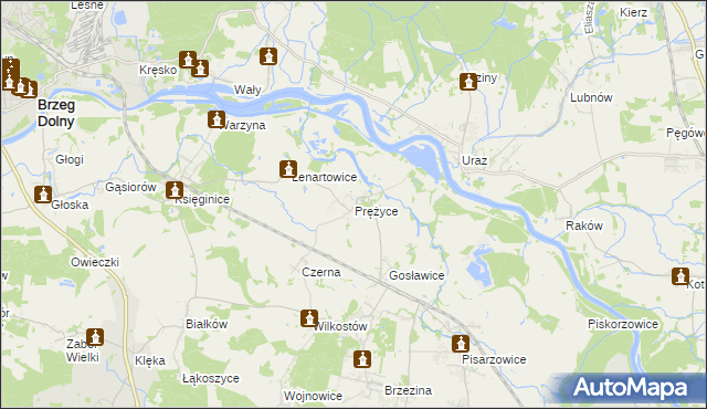 mapa Prężyce, Prężyce na mapie Targeo