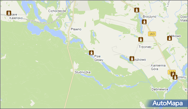 mapa Psie Głowy, Psie Głowy na mapie Targeo