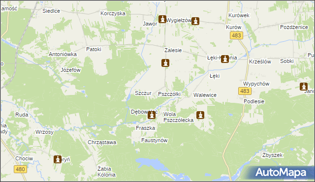 mapa Pszczółki gmina Zelów, Pszczółki gmina Zelów na mapie Targeo