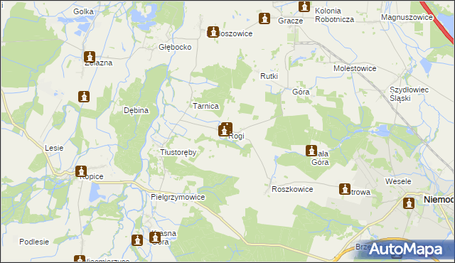 mapa Rogi gmina Niemodlin, Rogi gmina Niemodlin na mapie Targeo