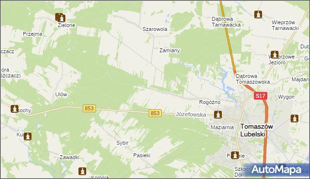 mapa Rogóźno-Kolonia, Rogóźno-Kolonia na mapie Targeo