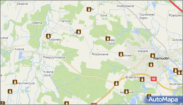 mapa Roszkowice gmina Niemodlin, Roszkowice gmina Niemodlin na mapie Targeo