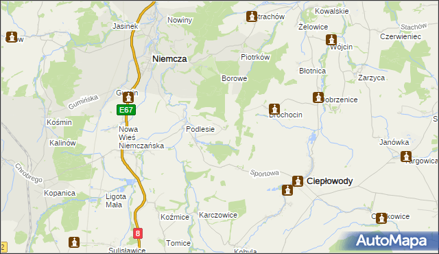 mapa Ruszkowice gmina Niemcza, Ruszkowice gmina Niemcza na mapie Targeo