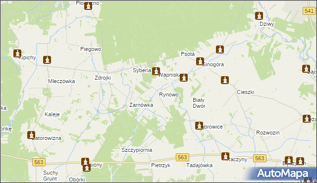 mapa Rynowo gmina Lubowidz, Rynowo gmina Lubowidz na mapie Targeo