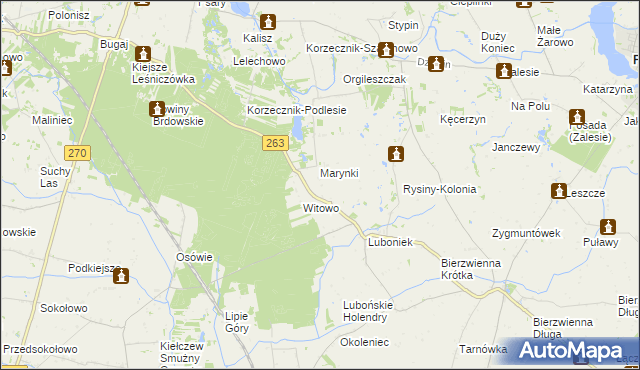 mapa Rysiny gmina Kłodawa, Rysiny gmina Kłodawa na mapie Targeo