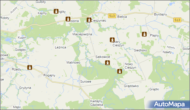 mapa Sałkowice, Sałkowice na mapie Targeo