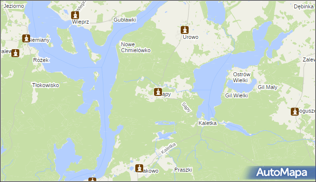 mapa Sąpy gmina Iława, Sąpy gmina Iława na mapie Targeo