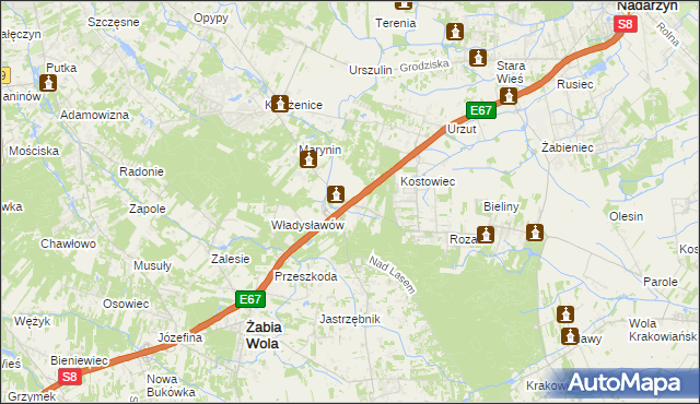 mapa Siestrzeń, Siestrzeń na mapie Targeo