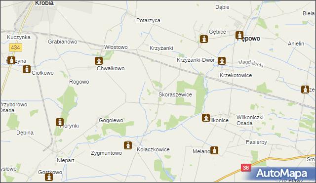 mapa Skoraszewice, Skoraszewice na mapie Targeo