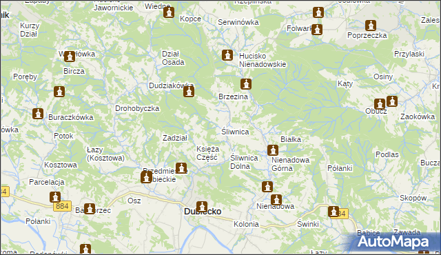 mapa Śliwnica gmina Dubiecko, Śliwnica gmina Dubiecko na mapie Targeo