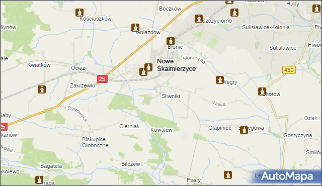 mapa Śliwniki gmina Nowe Skalmierzyce, Śliwniki gmina Nowe Skalmierzyce na mapie Targeo