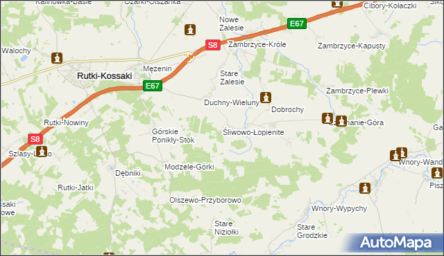 mapa Śliwowo-Łopienite, Śliwowo-Łopienite na mapie Targeo