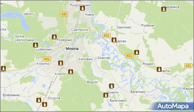 mapa Sowiniec gmina Mosina, Sowiniec gmina Mosina na mapie Targeo