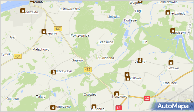 mapa Studzianna gmina Borek Wielkopolski, Studzianna gmina Borek Wielkopolski na mapie Targeo