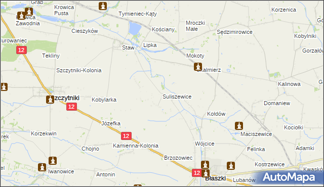 mapa Suliszewice gmina Błaszki, Suliszewice gmina Błaszki na mapie Targeo