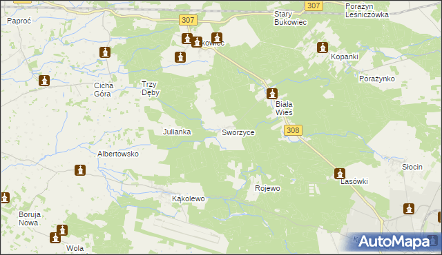 mapa Sworzyce gmina Grodzisk Wielkopolski, Sworzyce gmina Grodzisk Wielkopolski na mapie Targeo