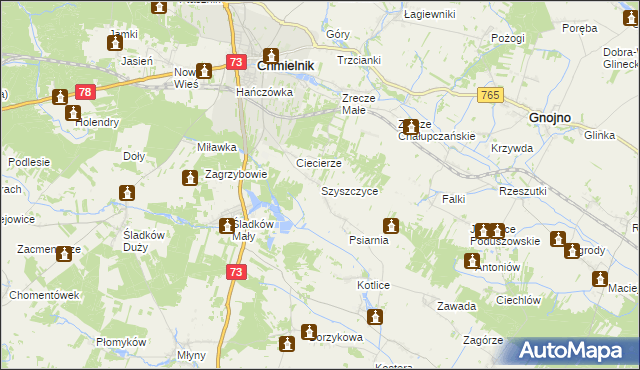 mapa Szyszczyce gmina Chmielnik, Szyszczyce gmina Chmielnik na mapie Targeo