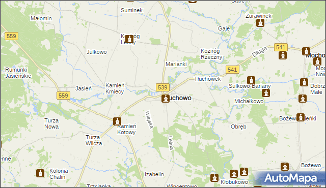 mapa Tłuchowo, Tłuchowo na mapie Targeo