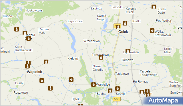 mapa Tomaszewo gmina Osiek, Tomaszewo gmina Osiek na mapie Targeo