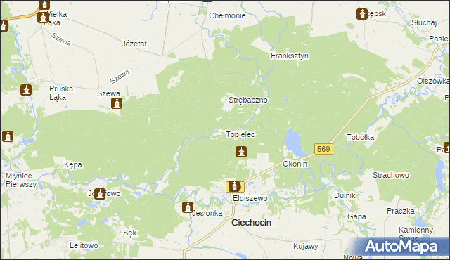 mapa Topielec, Topielec na mapie Targeo