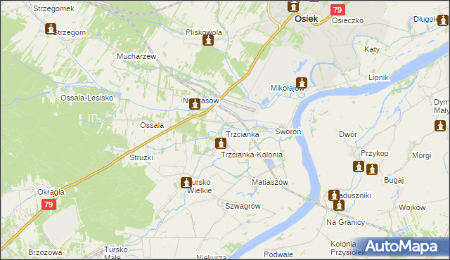 mapa Trzcianka gmina Osiek, Trzcianka gmina Osiek na mapie Targeo