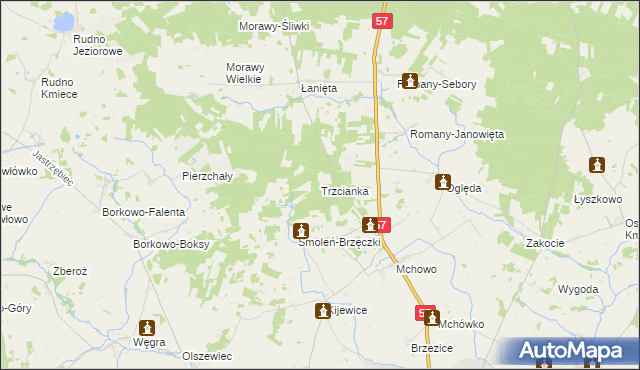 mapa Trzcianka gmina Przasnysz, Trzcianka gmina Przasnysz na mapie Targeo