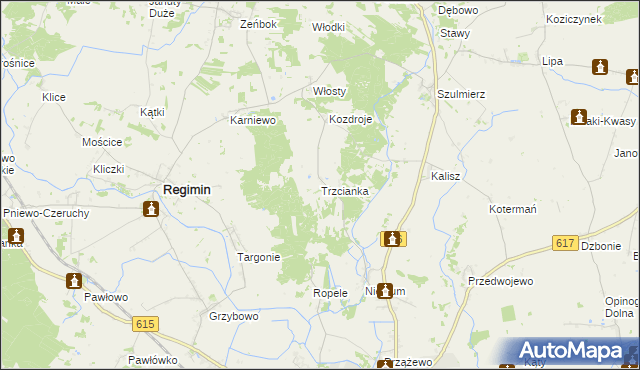 mapa Trzcianka gmina Regimin, Trzcianka gmina Regimin na mapie Targeo