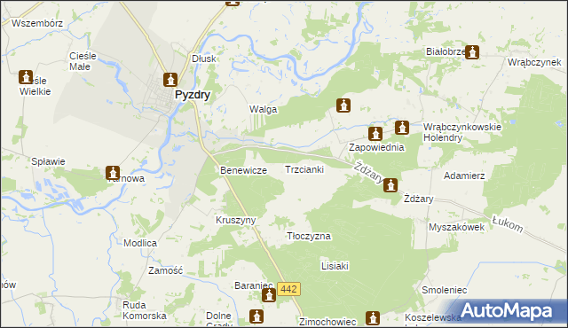 mapa Trzcianki gmina Pyzdry, Trzcianki gmina Pyzdry na mapie Targeo