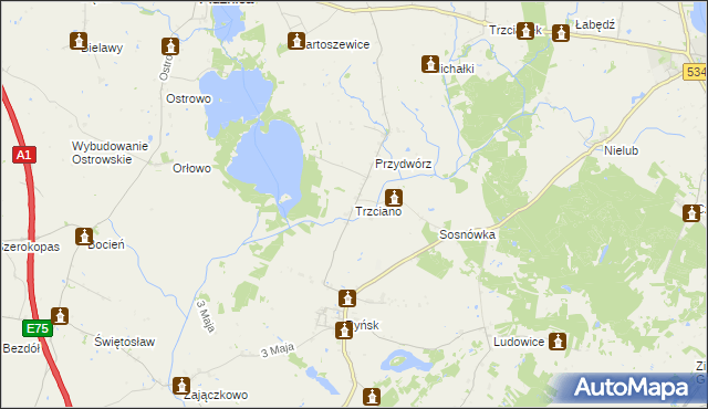 mapa Trzciano gmina Ryńsk, Trzciano gmina Ryńsk na mapie Targeo