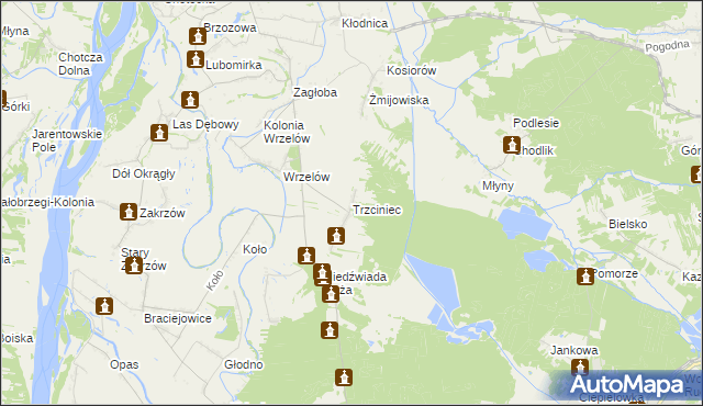 mapa Trzciniec gmina Łaziska, Trzciniec gmina Łaziska na mapie Targeo