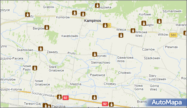 mapa Trzciniec gmina Leszno, Trzciniec gmina Leszno na mapie Targeo