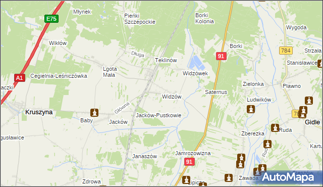 mapa Widzów, Widzów na mapie Targeo