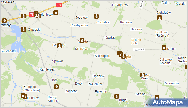 mapa Wielkopole gmina Słupia, Wielkopole gmina Słupia na mapie Targeo