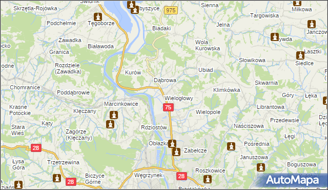 mapa Wielogłowy gmina Chełmiec, Wielogłowy gmina Chełmiec na mapie Targeo