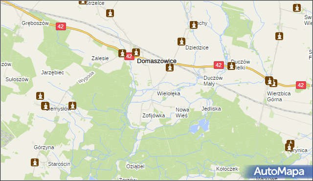 mapa Wielołęka gmina Domaszowice, Wielołęka gmina Domaszowice na mapie Targeo