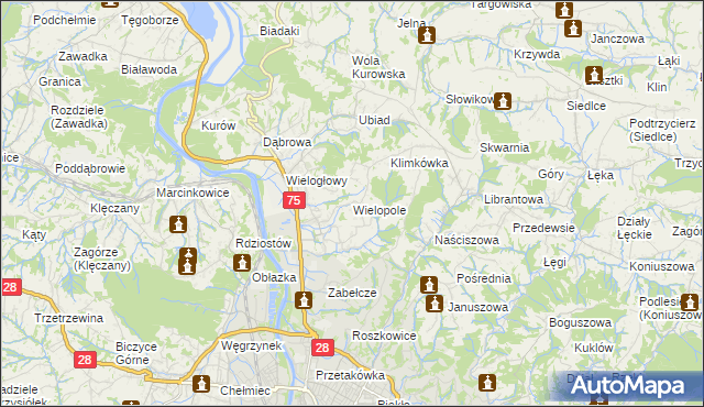 mapa Wielopole gmina Chełmiec, Wielopole gmina Chełmiec na mapie Targeo