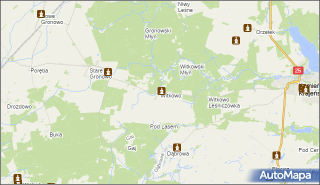 mapa Witkowo gmina Kamień Krajeński, Witkowo gmina Kamień Krajeński na mapie Targeo