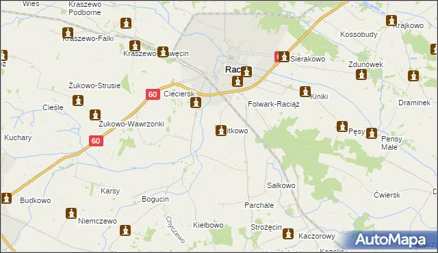 mapa Witkowo gmina Raciąż, Witkowo gmina Raciąż na mapie Targeo